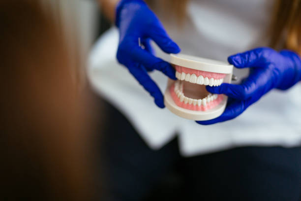 Best Teeth Whitening  in Hunters Creek, FL